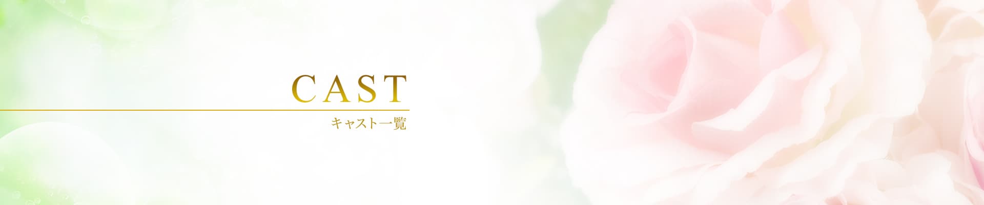 品川・蒲田発 出張回春性感エステ「君とふれ愛」キャスト一覧
