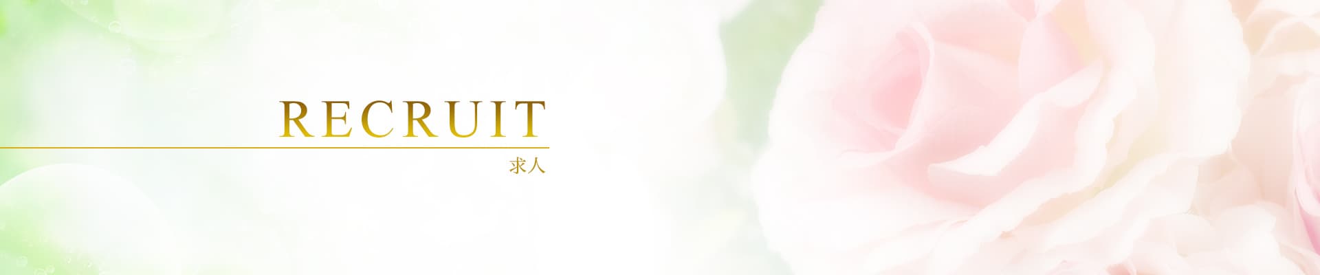 品川・蒲田発 出張回春性感エステ「君とふれ愛」求人