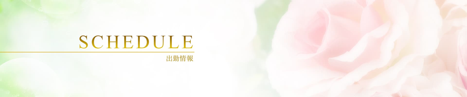 品川・蒲田発 出張回春性感エステ「君とふれ愛」出勤情報